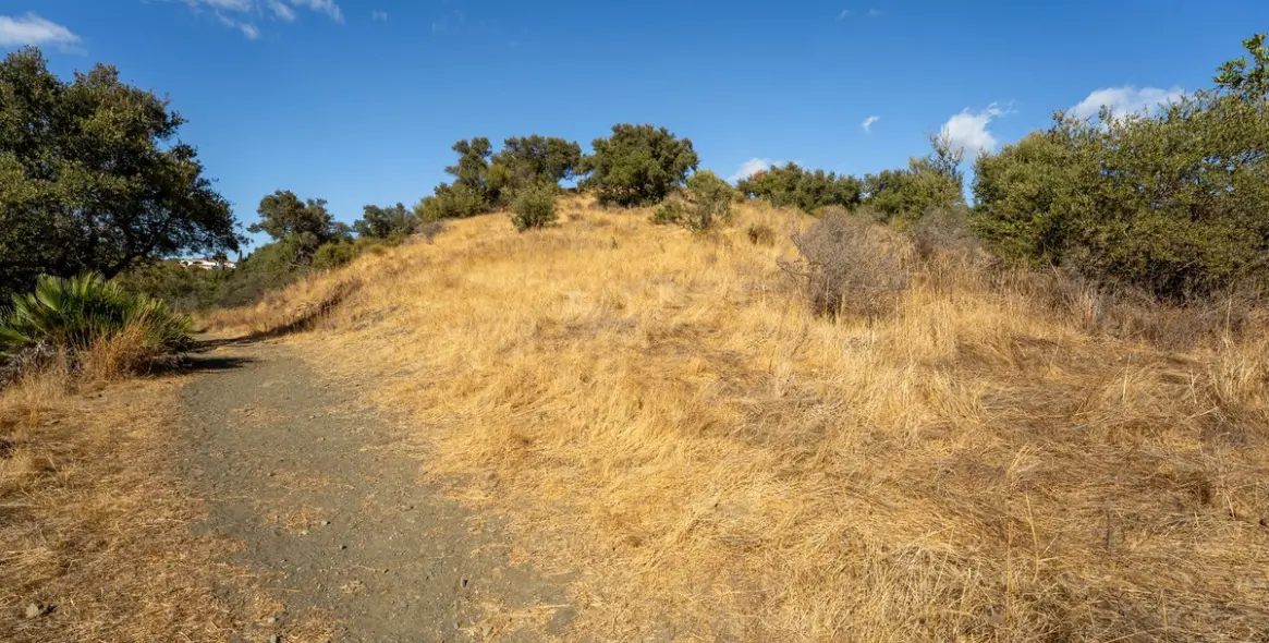 Sale of residential plot in Cerros del Aguila 8