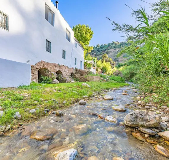 Sale of finca - cortijo in Coín
