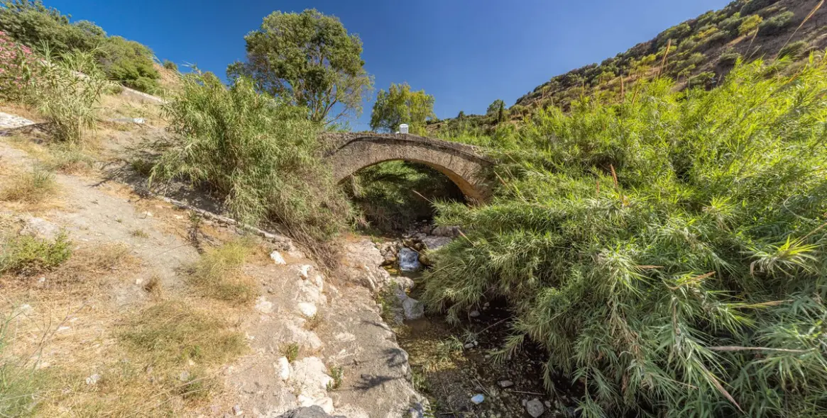 Продажа финки в Coín 29