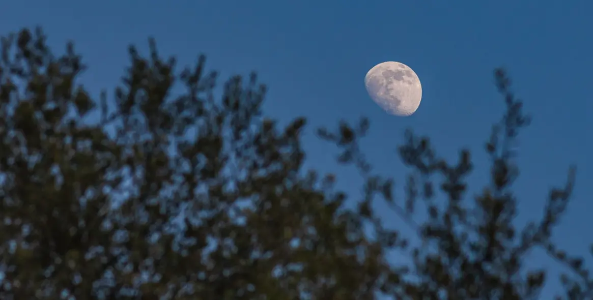 Продажа финки в Coín 72