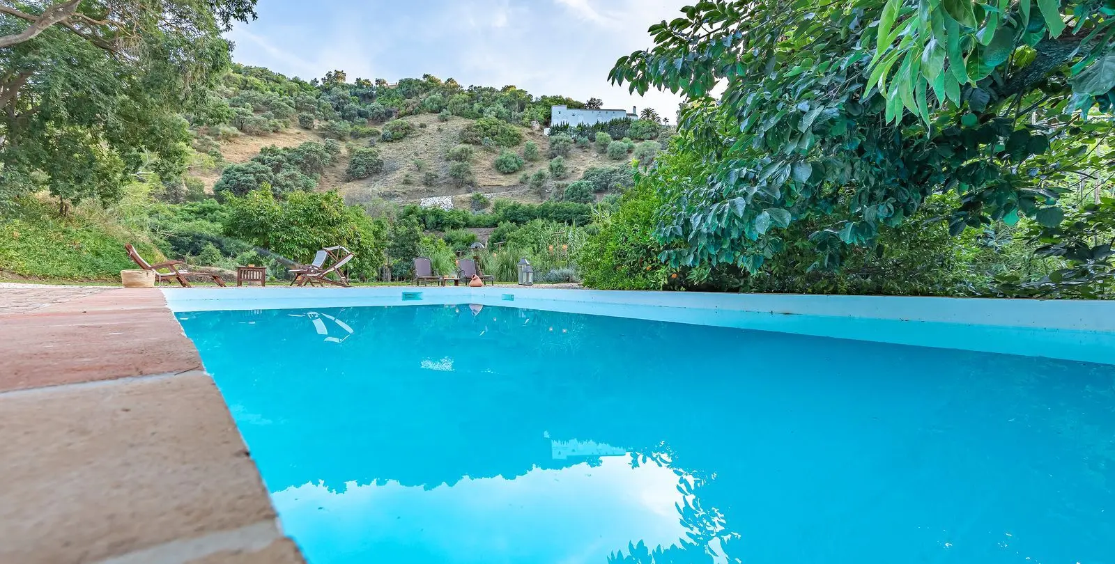 Sale of finca - cortijo in Coín 7