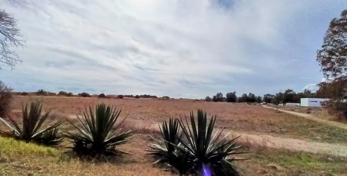 Продажа дома на две семьи в Guadalmar 59