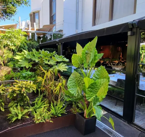 Venta de restaurante en Puerto Banús