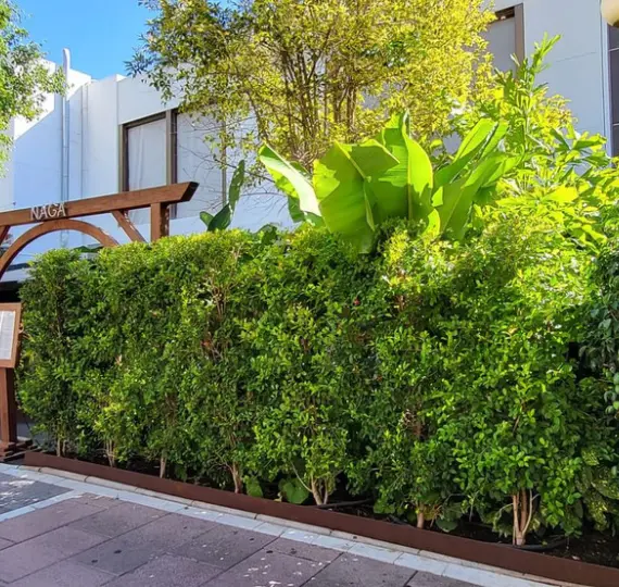 Venta de restaurante en Puerto Banús