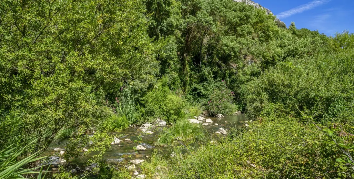 Продажа отеля в Benaoján 27