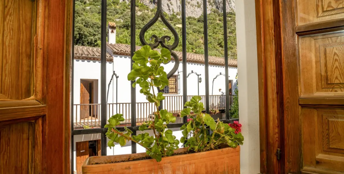 Sale of hotel in Benaoján 7