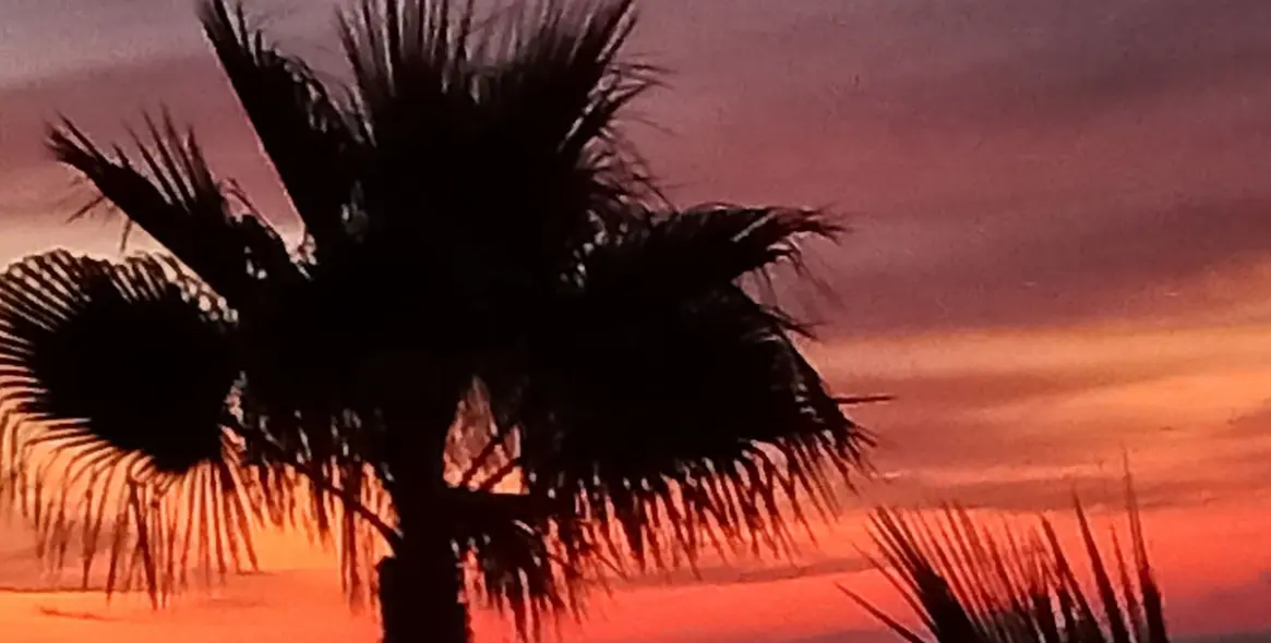 Sale of detached villa in Riviera del Sol 49