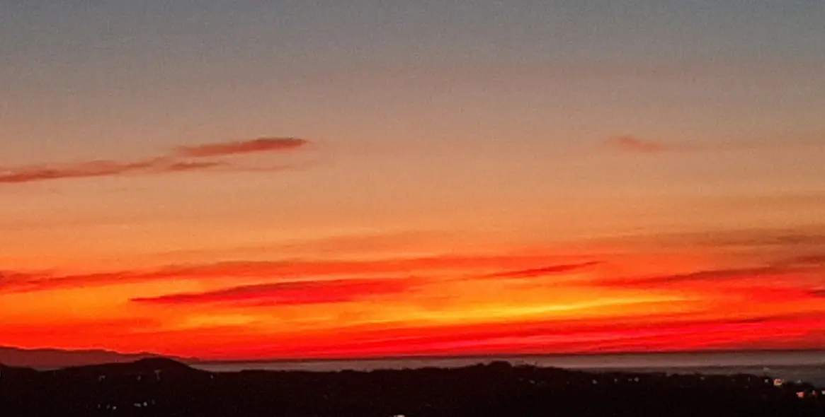 Sale of detached villa in Riviera del Sol 50