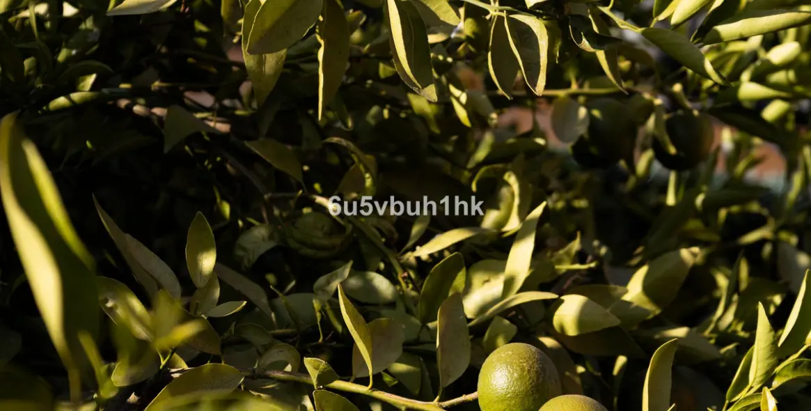 Venta de adosado en Malaga - Este 48