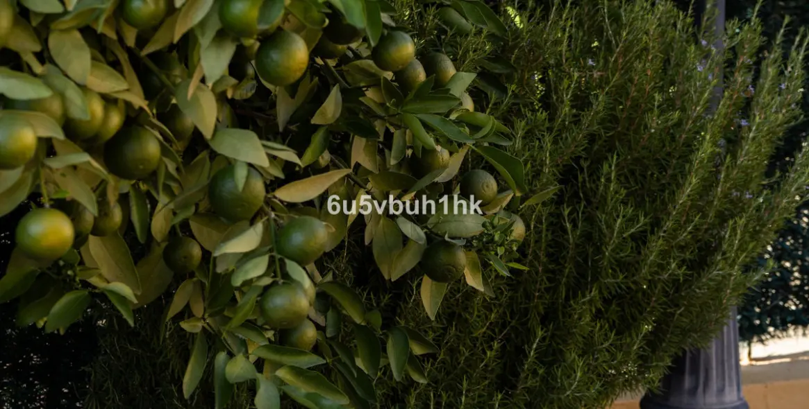 Venta de adosado en Malaga - Este 49