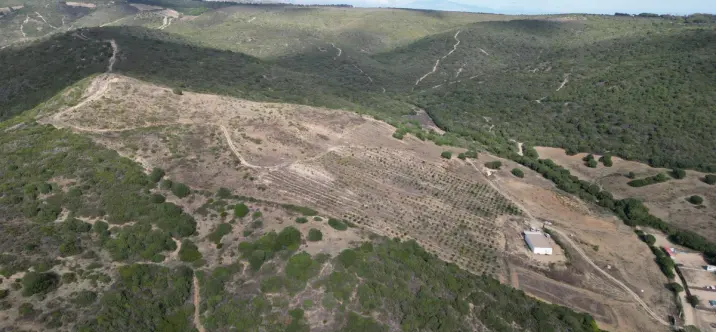 Parcela residencial R4870753 4