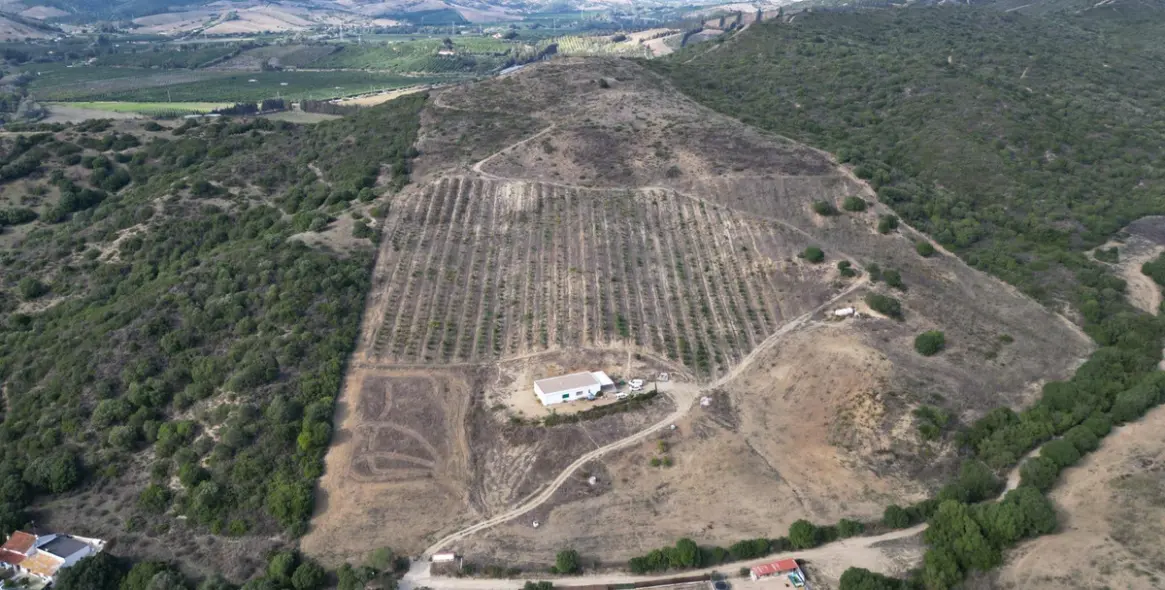 Venta de parcela residencial en Manilva (distrito Manilva) 6