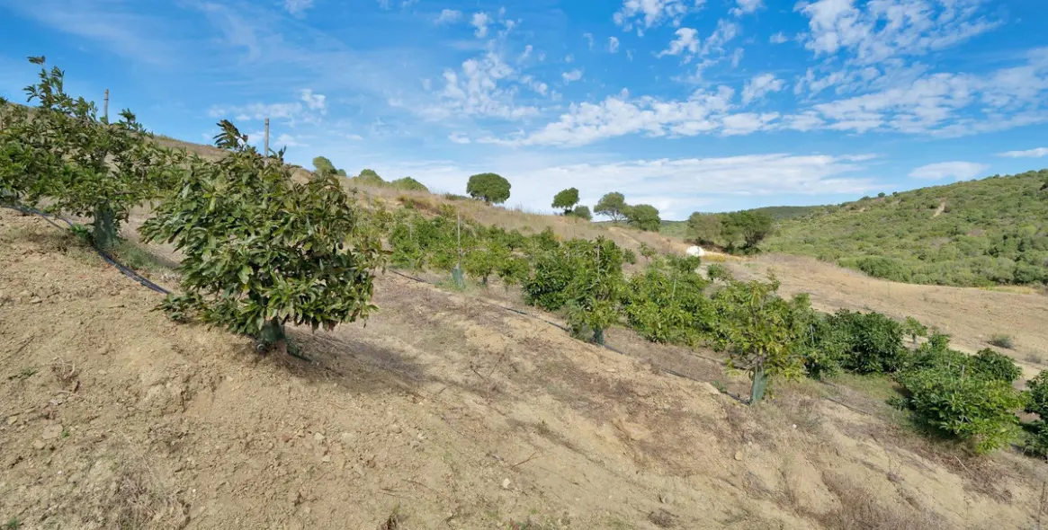 Продажа  жилого участка в Manilva 24