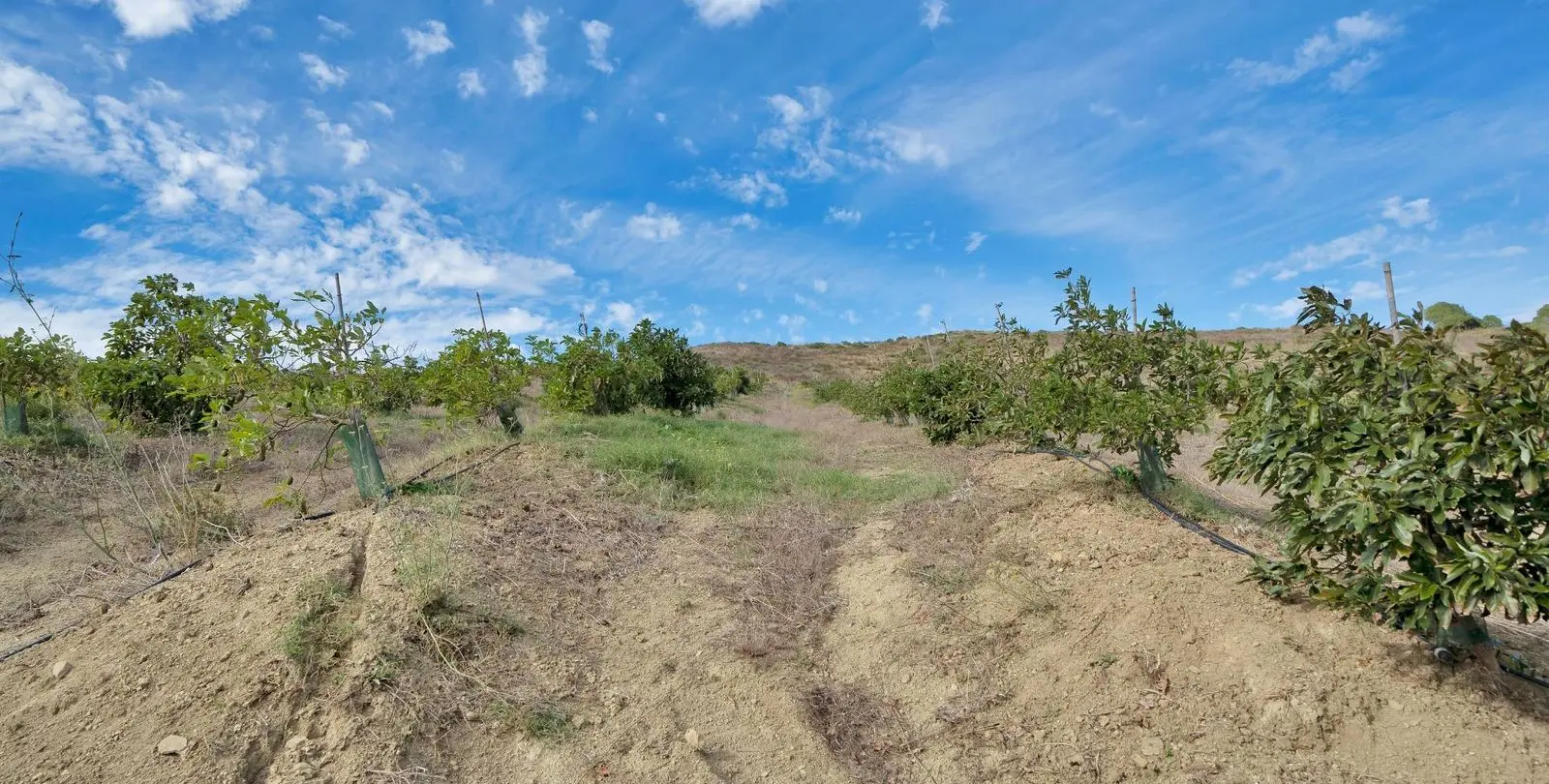 Sale of residential plot in Manilva 25