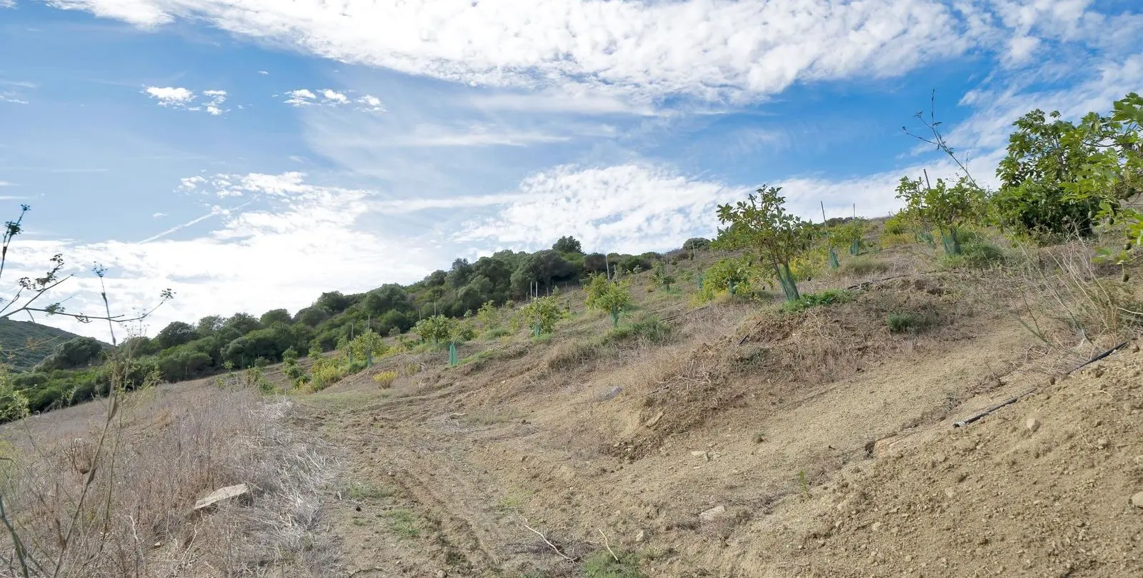 Sale of residential plot in Manilva 26
