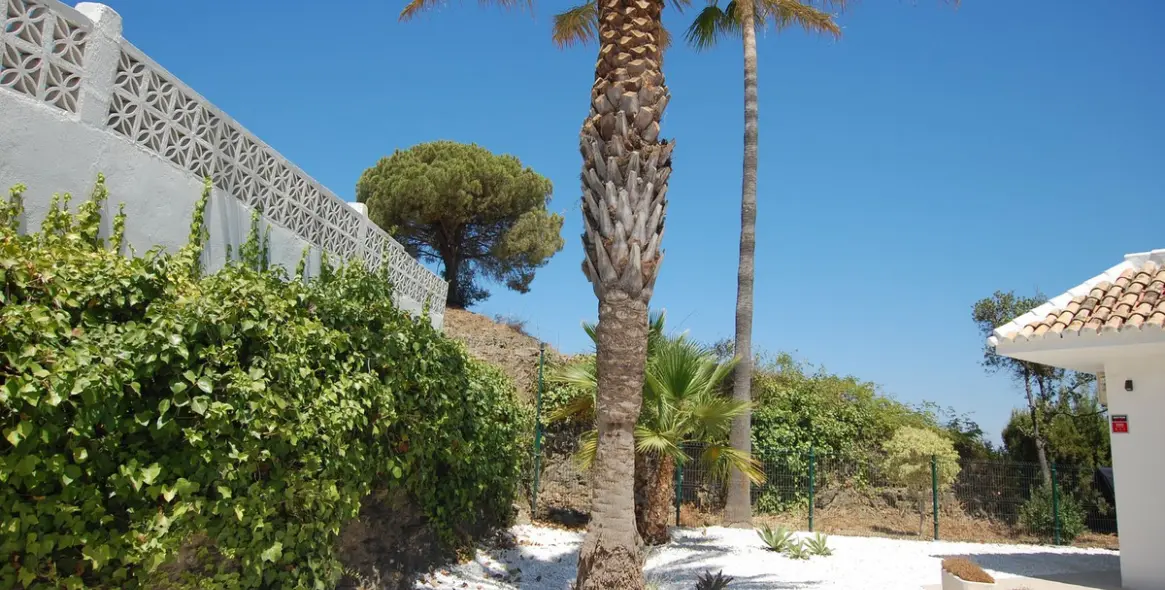 Sale of detached villa in Cerros del Aguila 57