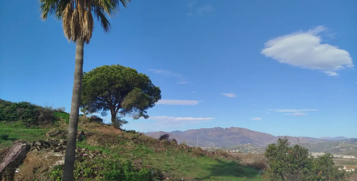 Sale of detached villa in Cerros del Aguila 82