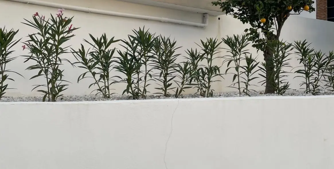 Sale of detached villa in Cerros del Aguila 87