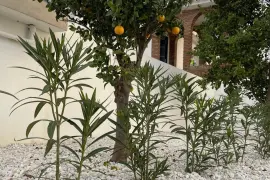 Image 96 thumb