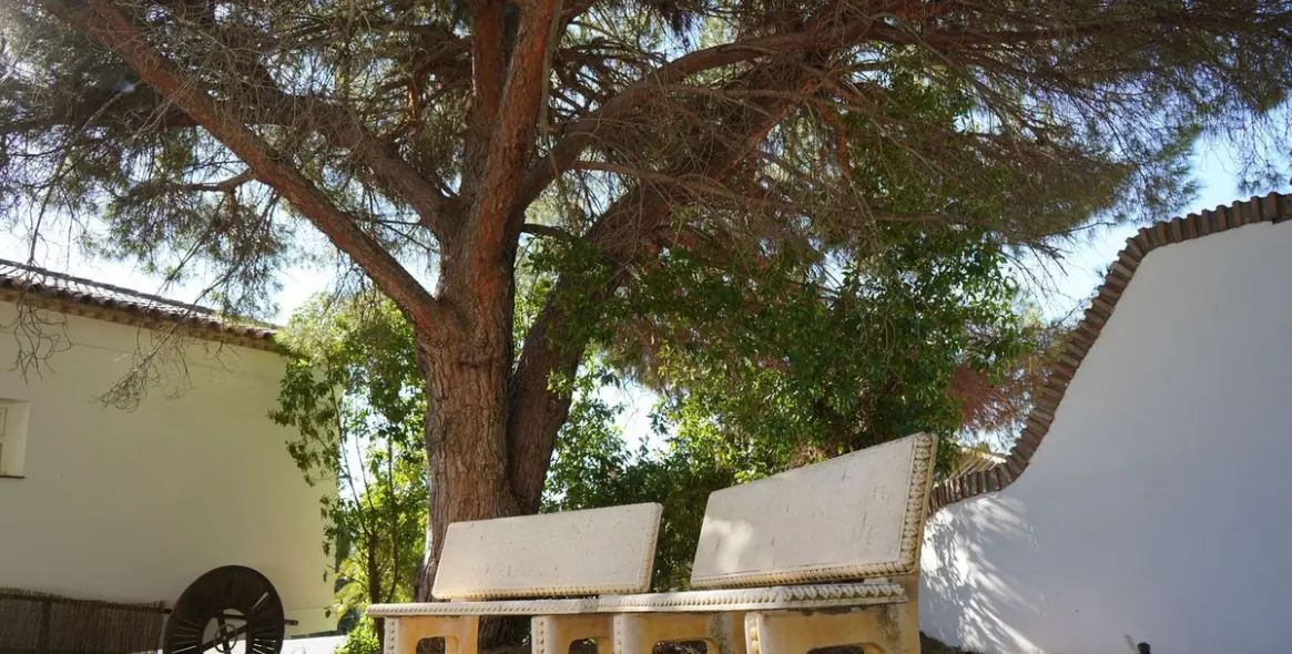 Venta de villa independiente en Mijas Golf 15