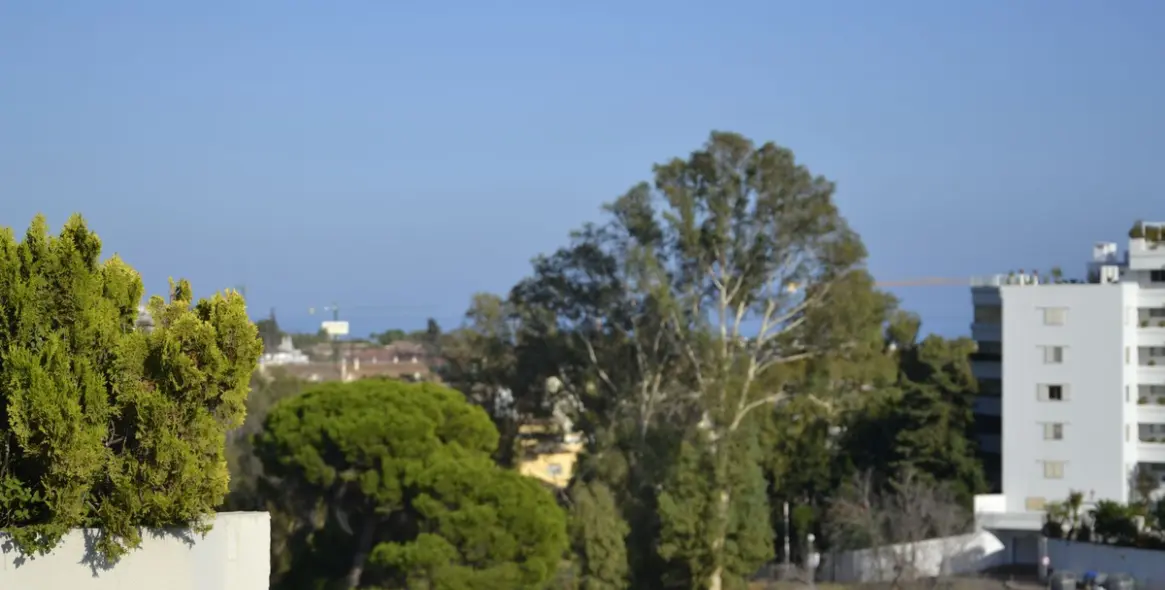 Venta de ático dúplex en Guadalmina Alta 56