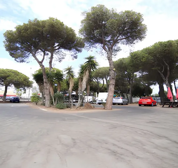 Venta de local comercial en Benamara