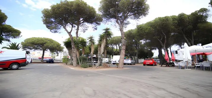 Venta de local comercial en Benamara 0