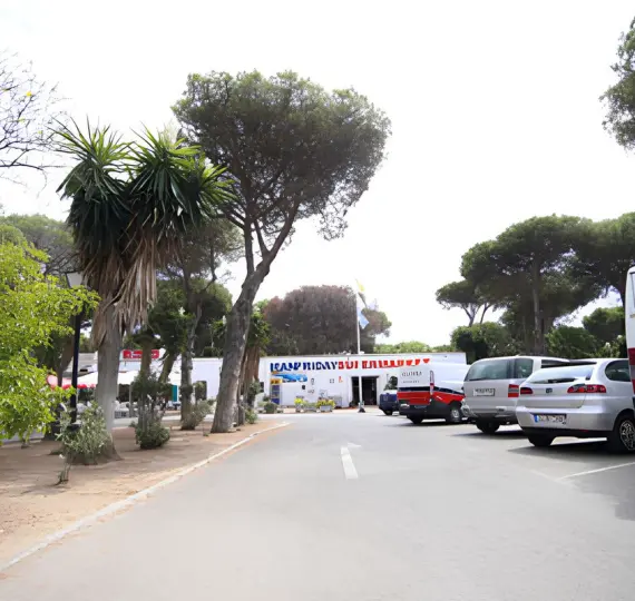 Venta de local comercial en Benamara