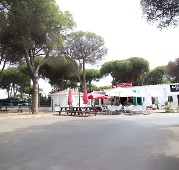 Venta de local comercial en Benamara