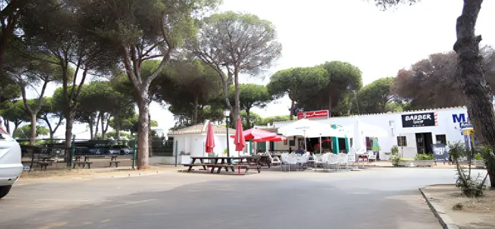 Venta de local comercial en Benamara 2