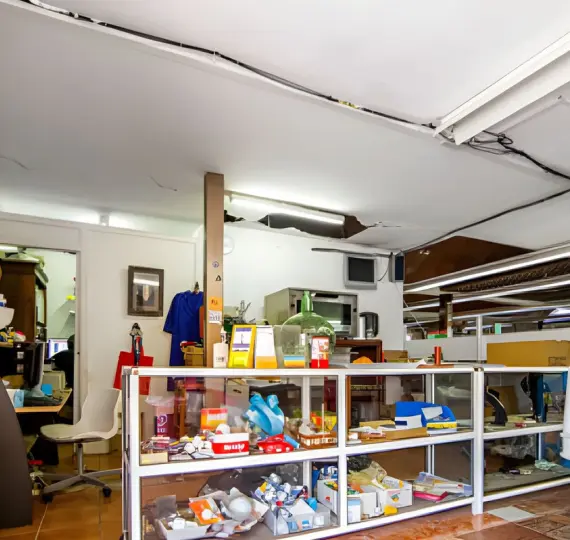 Venta de local comercial en Benamara