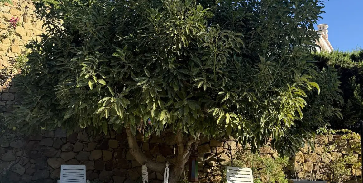 Продажа  отдельно стоящей виллы в Calahonda 3