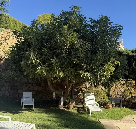 Продажа  отдельно стоящей виллы в Calahonda