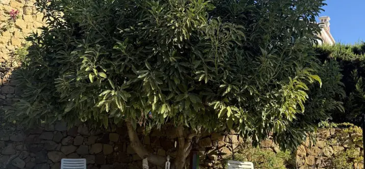 Продажа  отдельно стоящей виллы в Calahonda 2