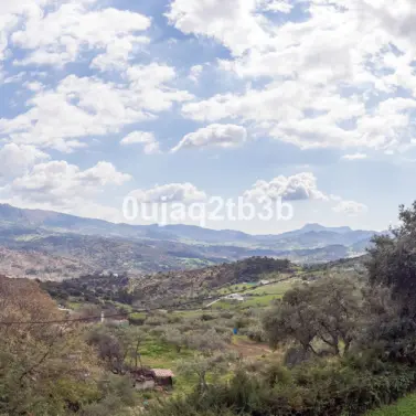 Sale of finca - cortijo in Cortes de la Frontera