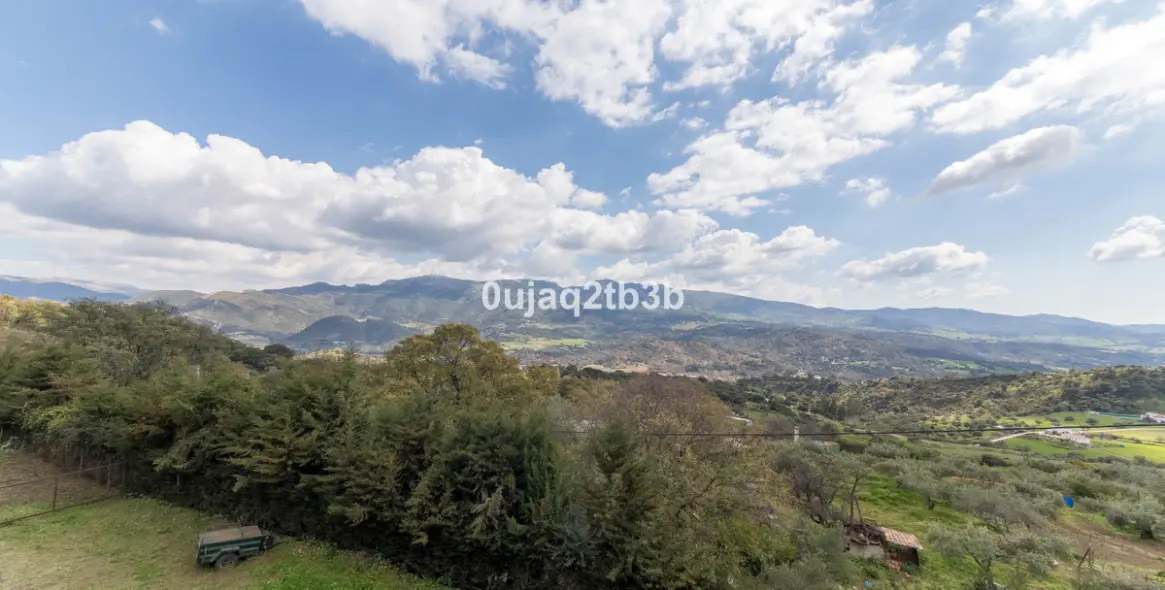 Sale of finca - cortijo in Cortes de la Frontera 13