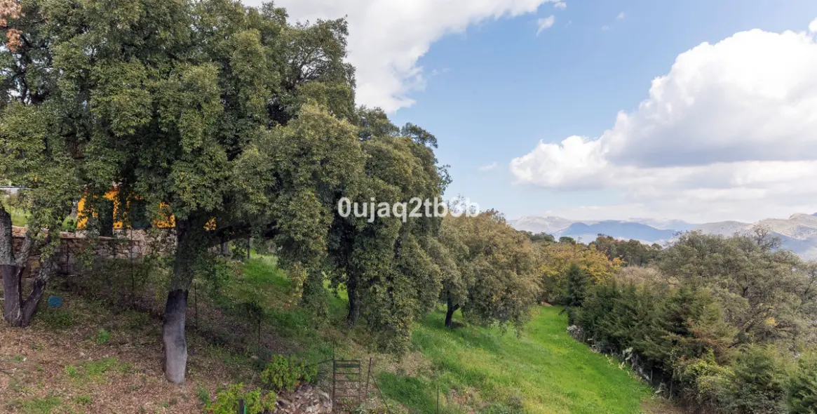 Sale of finca - cortijo in Cortes de la Frontera 18