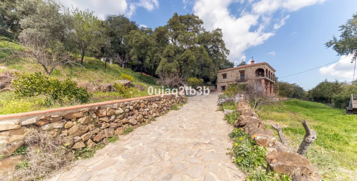 Sale of finca - cortijo in Cortes de la Frontera 20