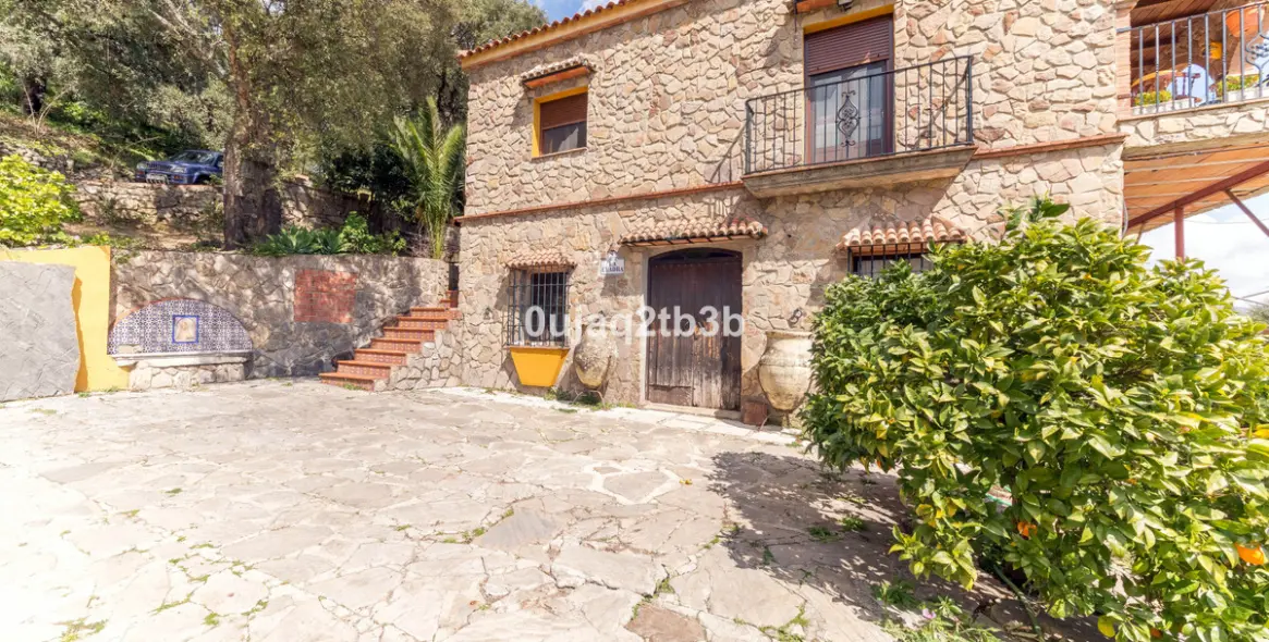 Sale of finca - cortijo in Cortes de la Frontera 21