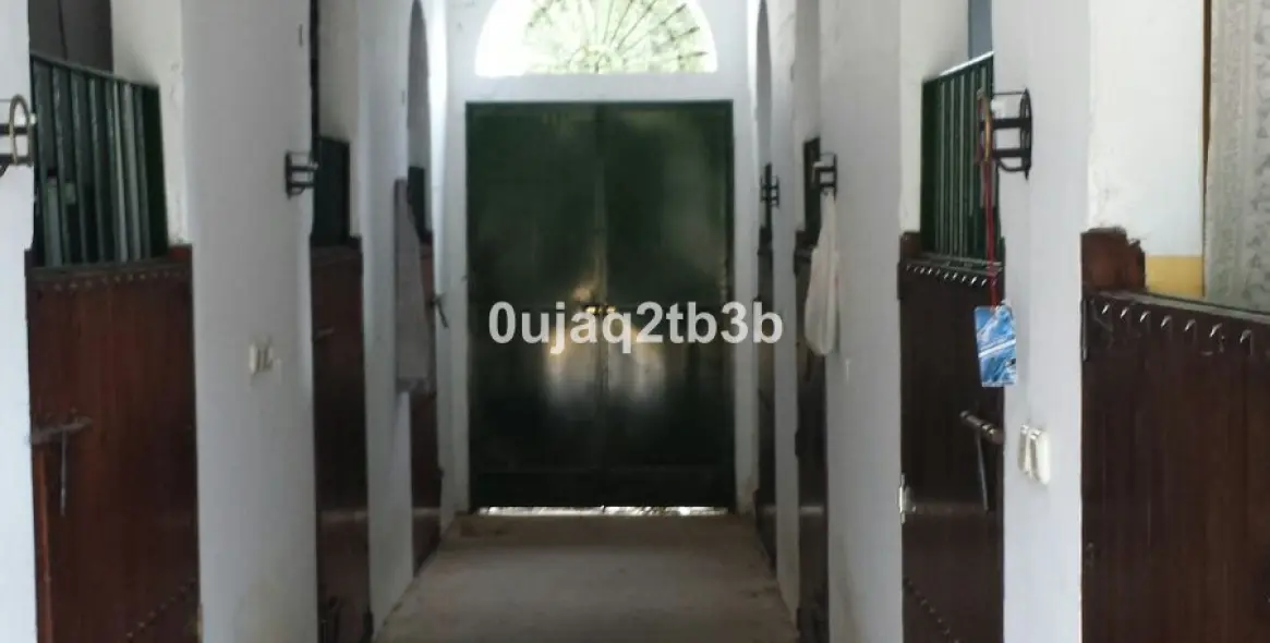 Sale of finca - cortijo in Cortes de la Frontera 23