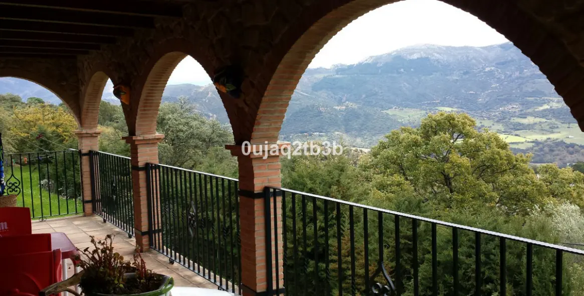 Sale of finca - cortijo in Cortes de la Frontera 31