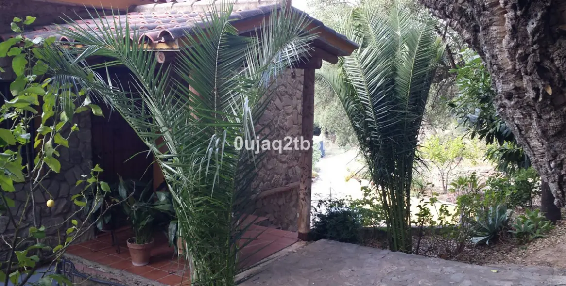 Sale of finca - cortijo in Cortes de la Frontera 32