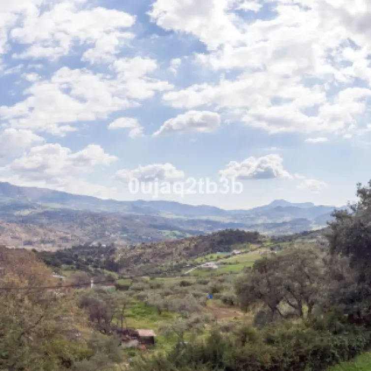 Venta de finca - cortijo en Cortes de la Frontera