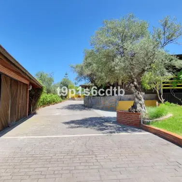 Продажа  отдельно стоящей виллы в Monda