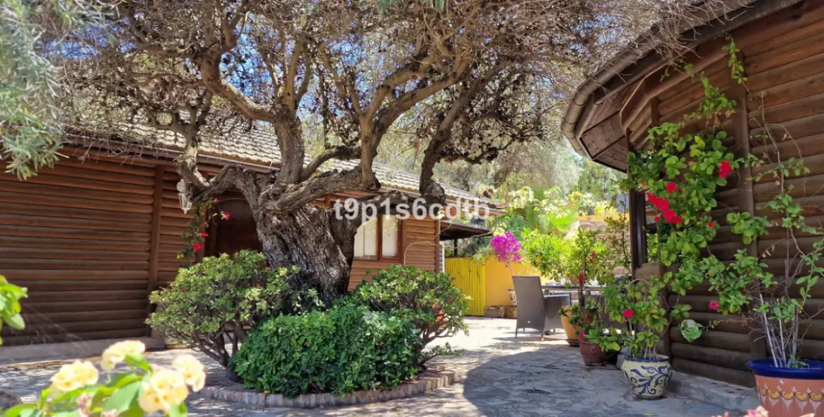 Продажа  отдельно стоящей виллы в Monda 4