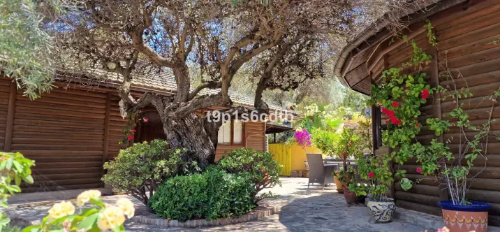 Продажа  отдельно стоящей виллы в Monda 3