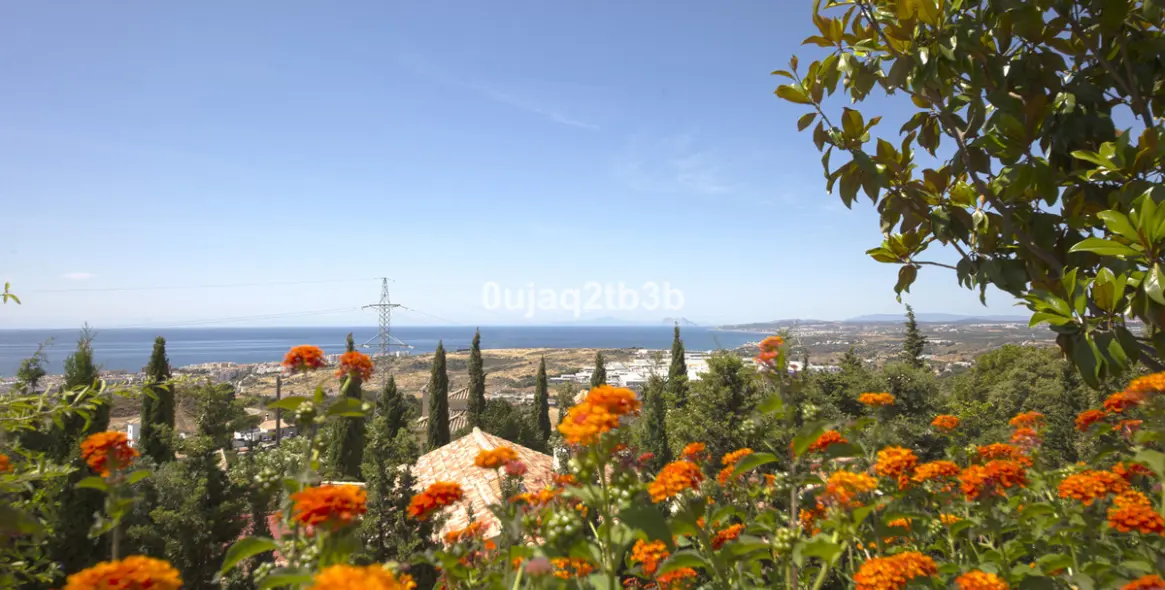 Sale of detached villa in Estepona 1