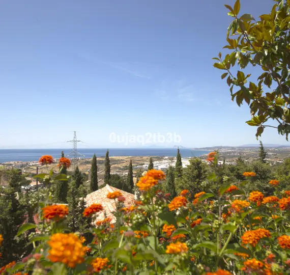 Sale of detached villa in Estepona
