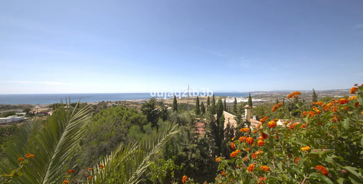 Sale of detached villa in Estepona 9
