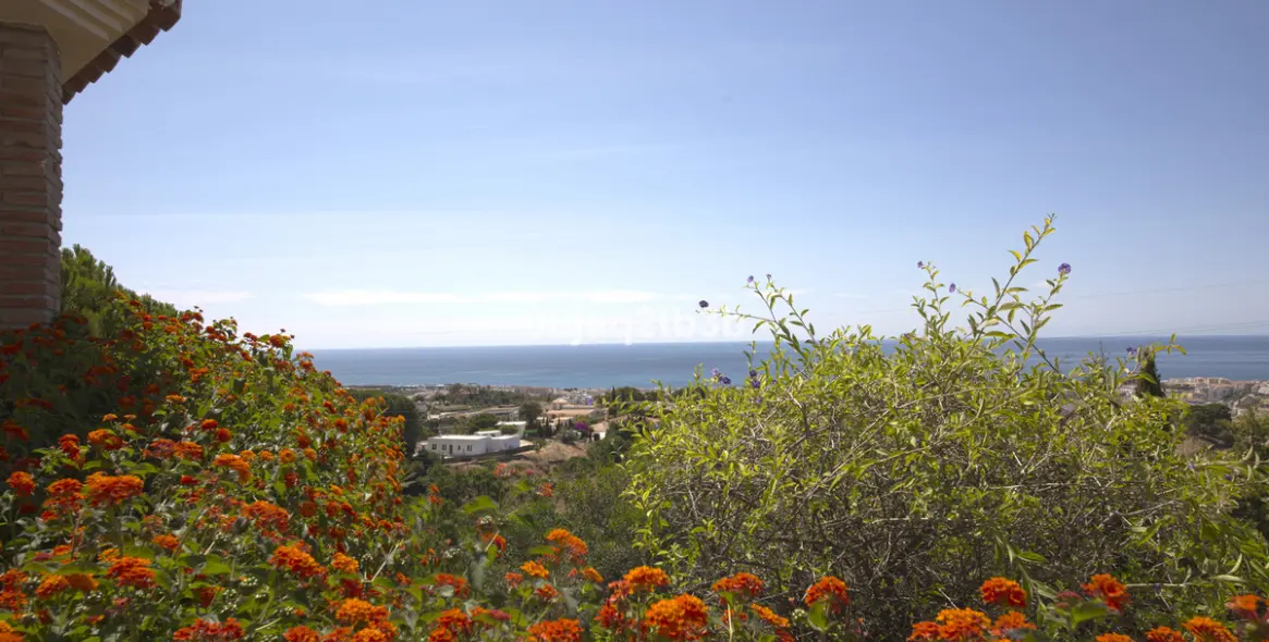 Sale of detached villa in Estepona 8